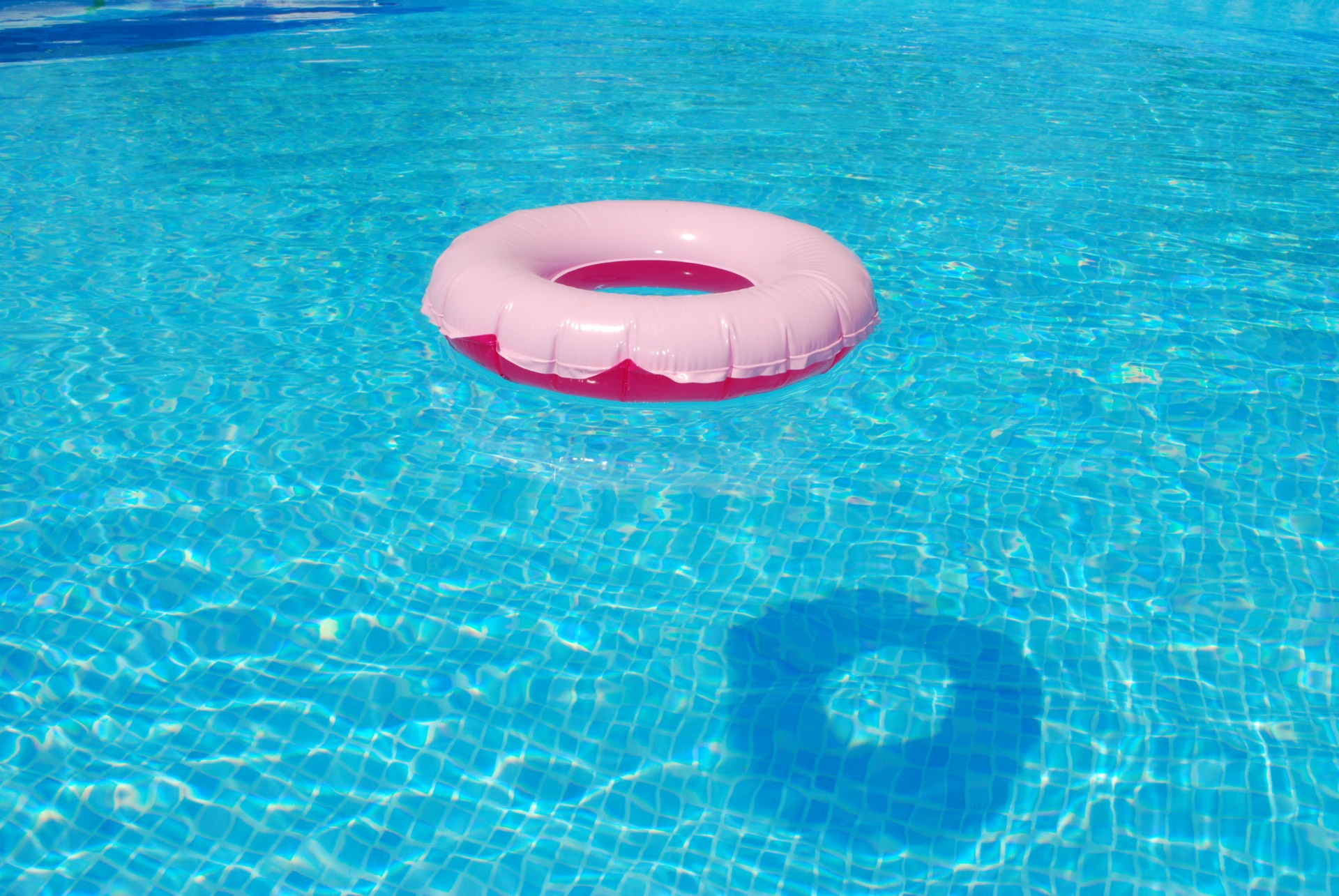 Pinky In The Pool Pinky Swimming Pool Pinky Swimming Pool Pinky Swimming Pool Pinky